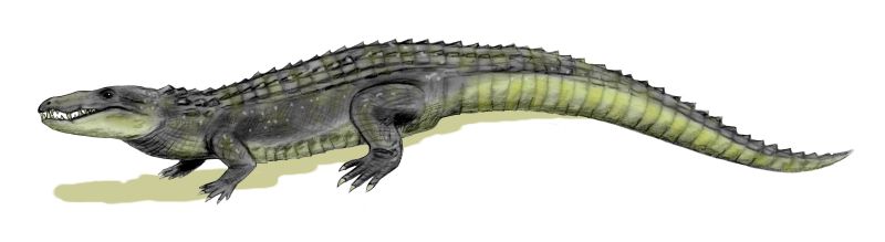 Bestand:Mahajangasuchus BW.jpg