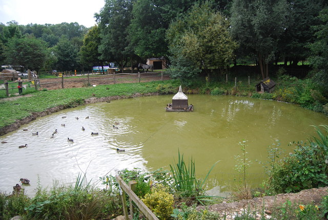 Museum of Kent Life - pond - geograph.org.uk - 2232227