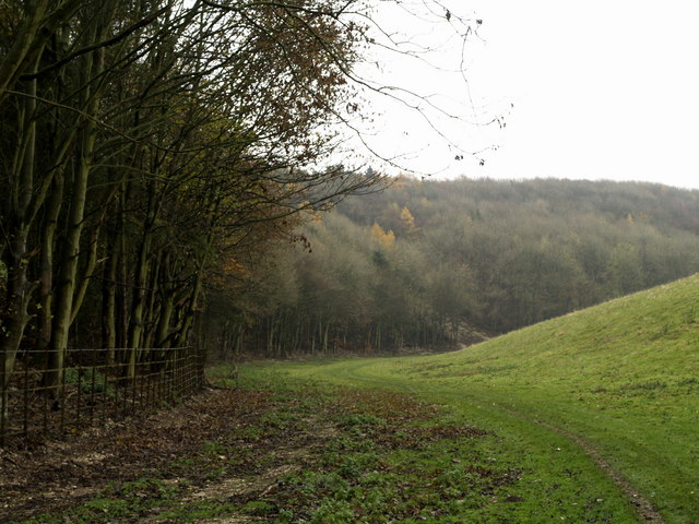 File:Oxlands Dale Footpath - geograph.org.uk - 617108.jpg