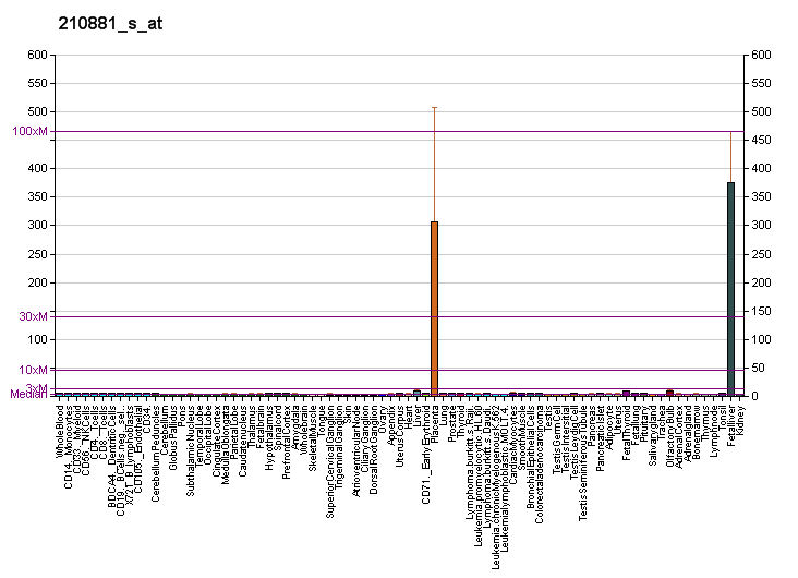 File:PBB GE IGF2 210881 s at fs.png