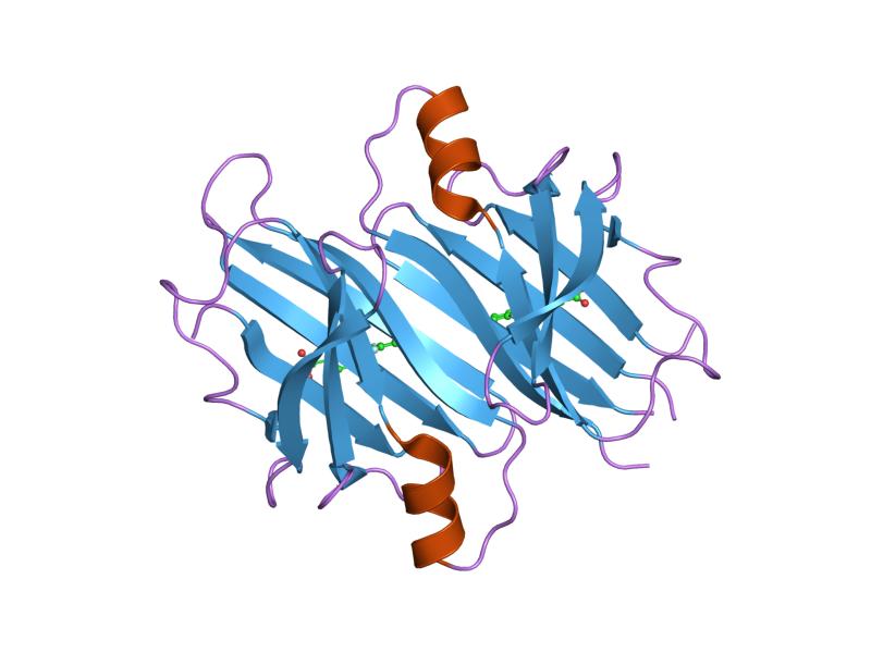 File:PDB 2f7i EBI.jpg