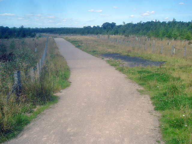 Path through the Hicks Lodge reclamation area - geograph.org.uk - 1502906