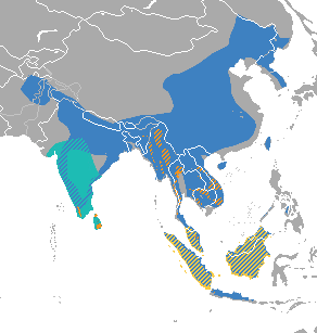 File:Prionailurus range.png