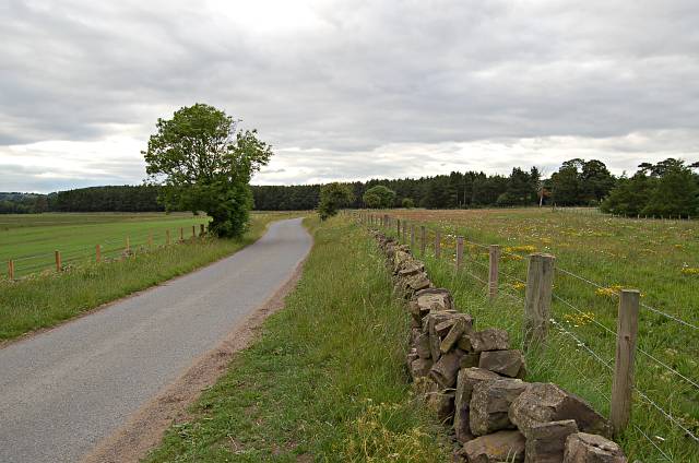 File:Road near Rossie - geograph.org.uk - 190631.jpg