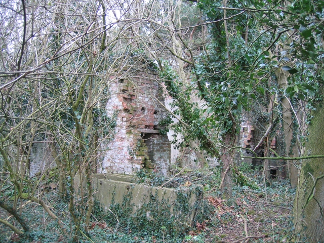 File:Ruin in Coed y Cra - geograph.org.uk - 324361.jpg