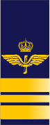 File:SWE-Airforce-major.png