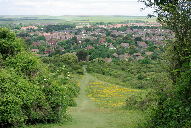 Seaford Head nature reserve - geograph.org.uk - 1915209