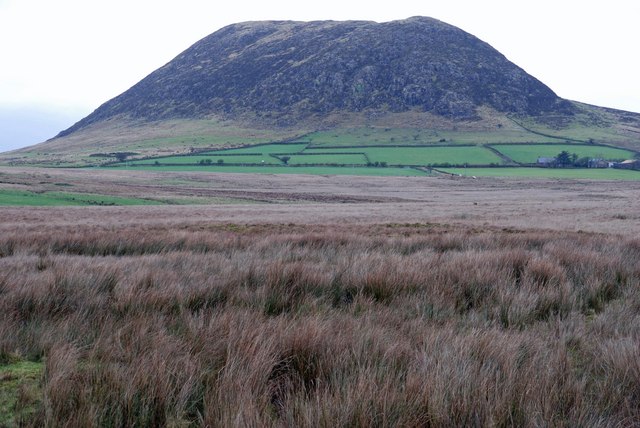 File:Slemish (6) - geograph.org.uk - 624718.jpg