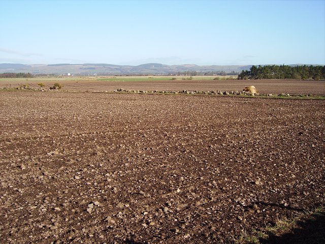 File:Stony ground - geograph.org.uk - 157619.jpg