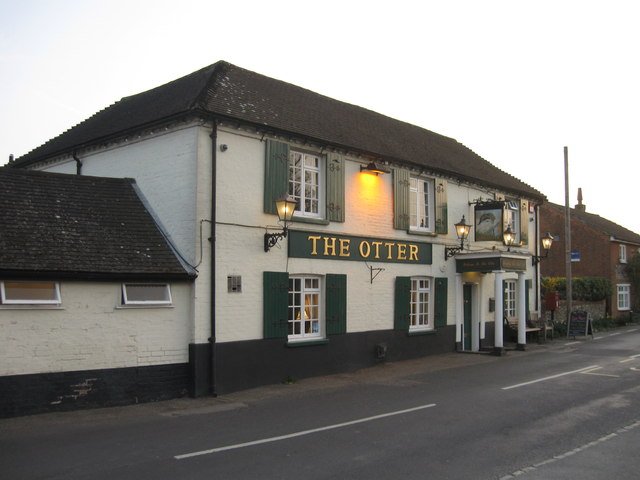 The Otter, Otterbourne - geograph.org.uk - 2876402