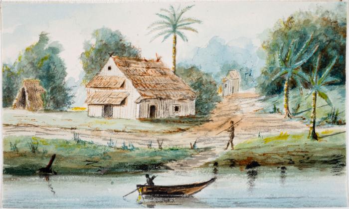 File:Tropenmuseum Royal Tropical Institute Objectnumber 1138-17f Aquarel voorstellende een Bosnegerkam.jpg