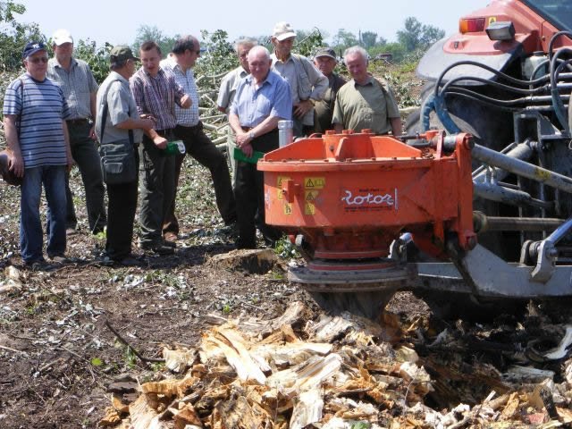 File:Vertical stump grinder work in Usa.jpg