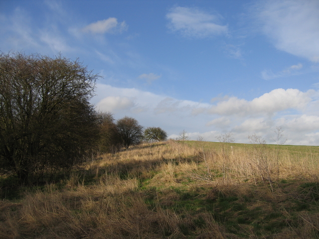 File:Windmill Hill - geograph.org.uk - 144305.jpg