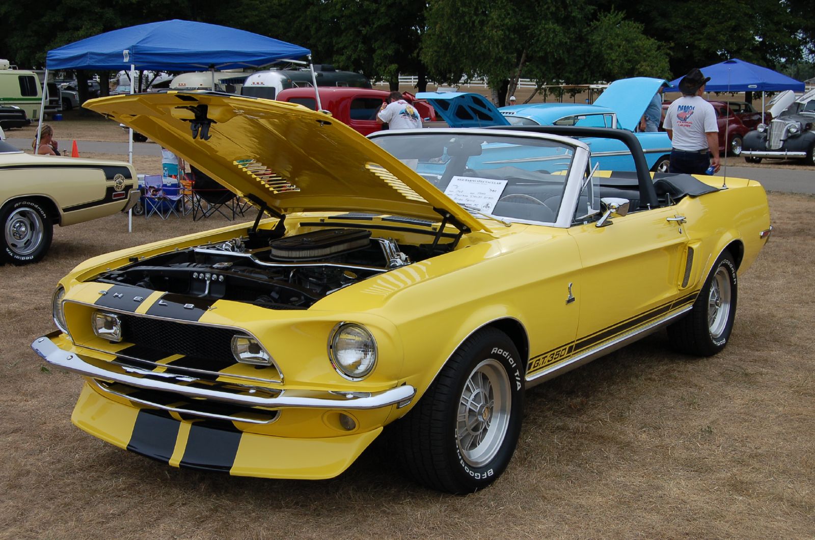 Ford Mustang Shelby gt350 1968