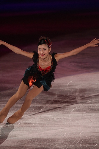 File:2010 NHK Trophy Gala - 0731a.jpg