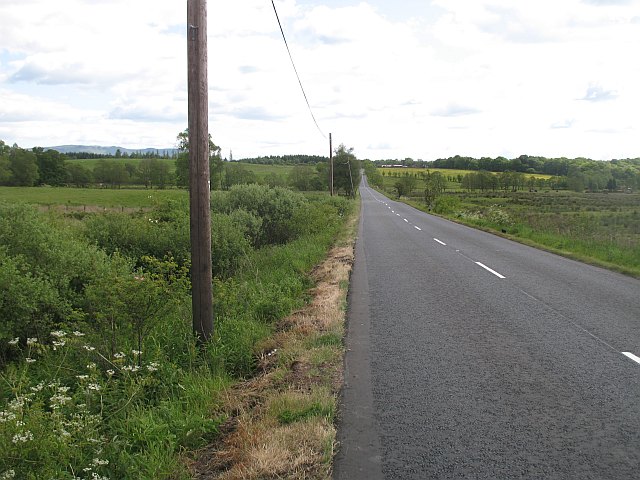 A81 road