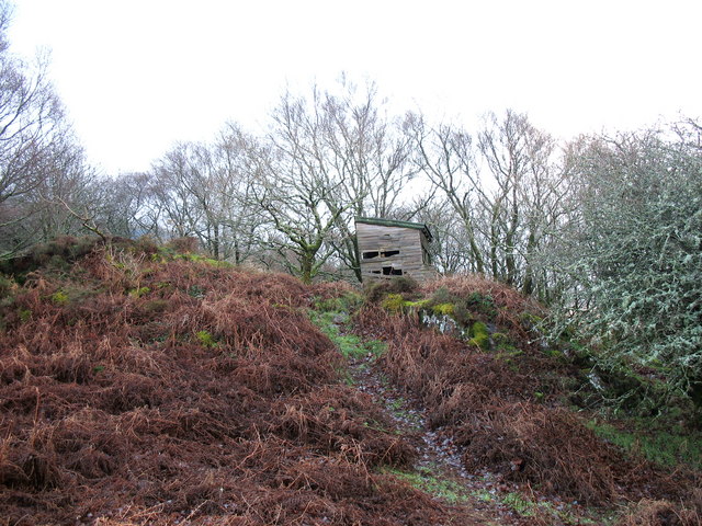 File:A dilapidated twitcher's hide in Coed Chwaral - geograph.org.uk - 294322.jpg
