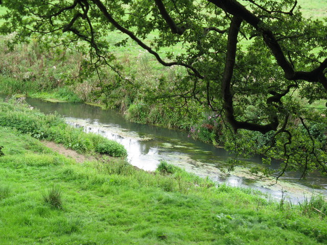 File:A fast flowing River Rother - geograph.org.uk - 1455557.jpg