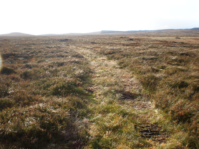 File:Agro Track Crossing Grouse Moor Towards Clava Forest - geograph.org.uk - 1020030.jpg