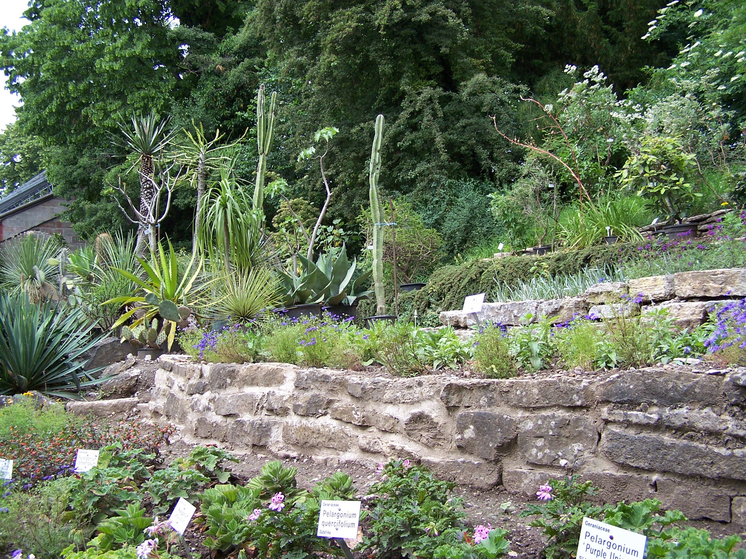 File Alter Botanischer Garten Der Universitat Gottingen 011 Jpg