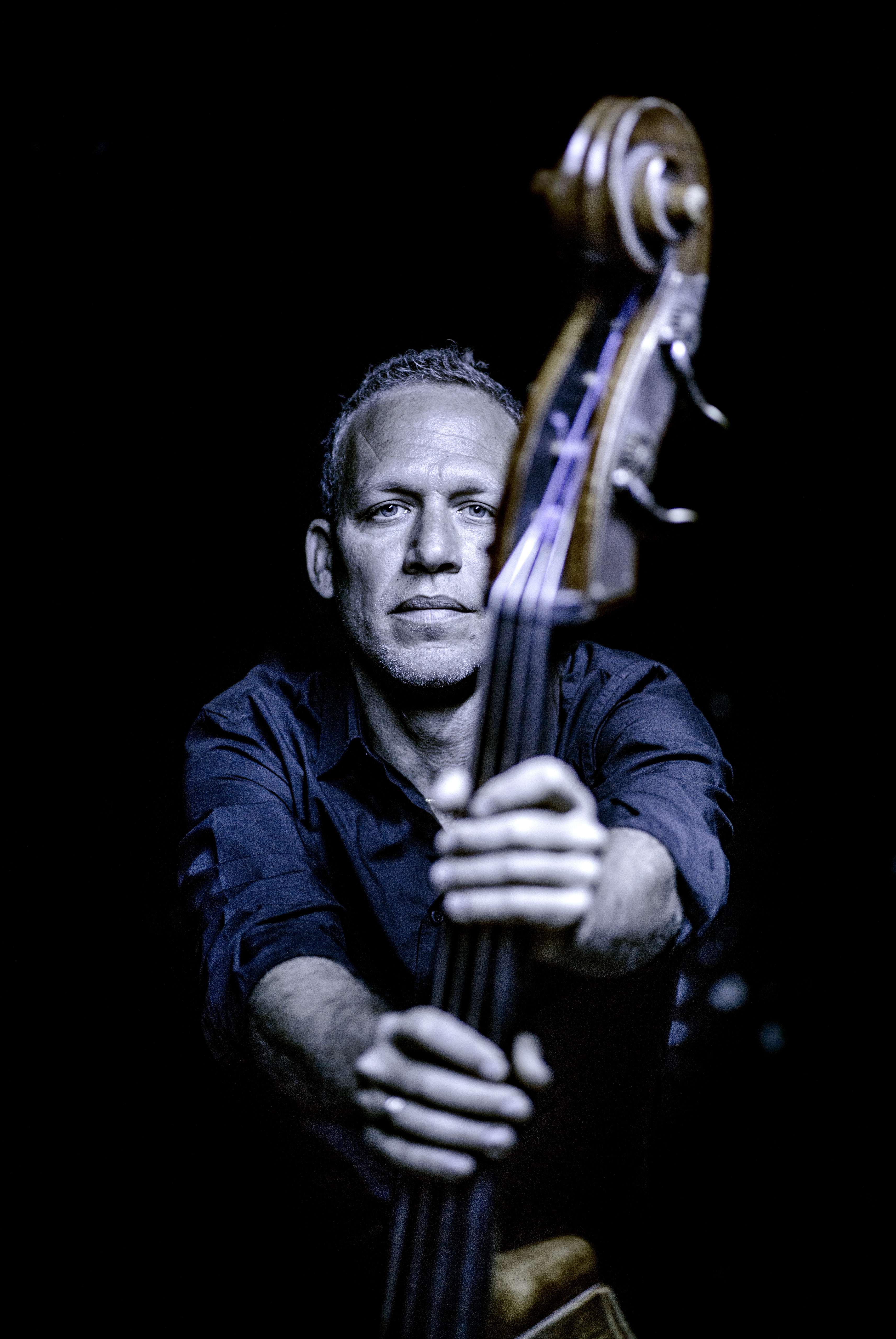 Avishai Cohen (bassist) - Wikipedia