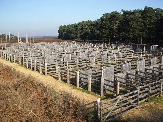 File:Beaulieu Road Pony Pens - geograph.org.uk - 334865.jpg