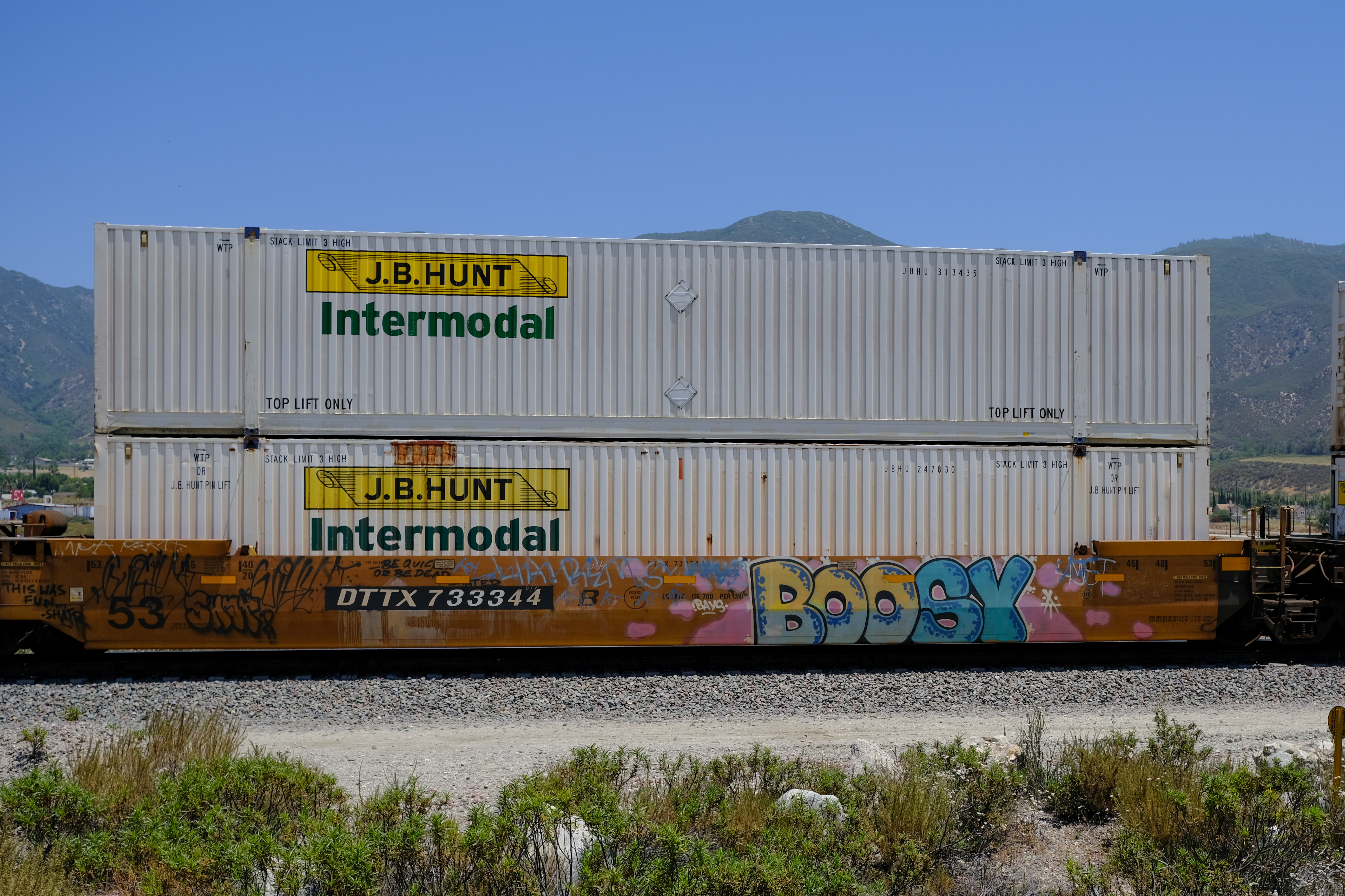 Benching Freight Train Graffiti in SoCal (June 11th 2021) (51256146493)