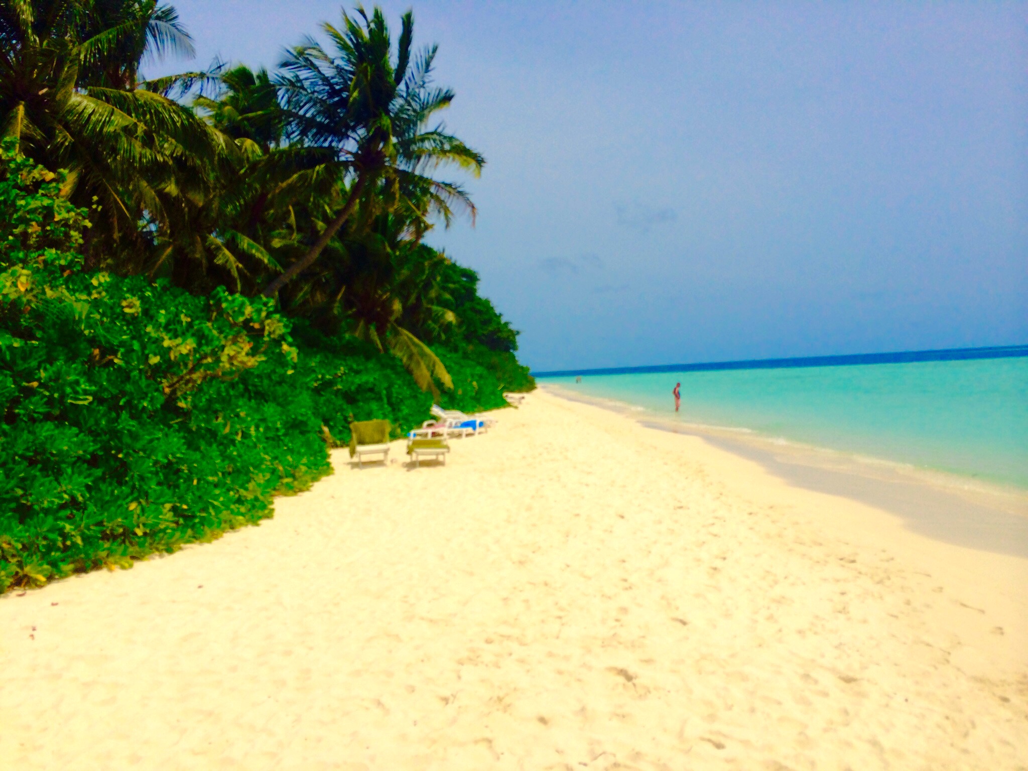 Bocas del Toro: A Hidden Gem in Panama