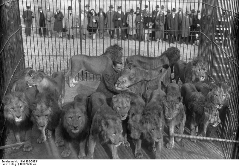 Datei Bundesarchiv Bild 102 001 Alfred Schneider Im Lowenkafig Jpg Wikipedia