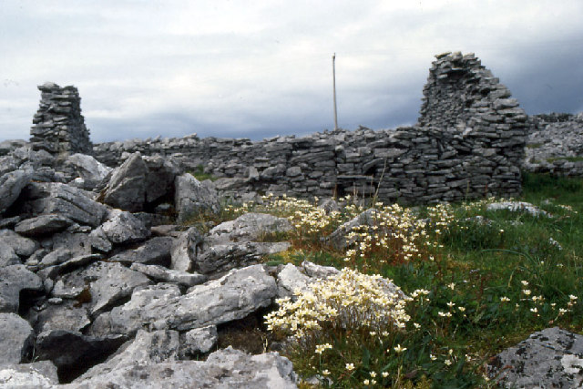 File:Cathair an Aird Rois - geograph.org.uk - 65168.jpg