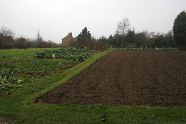 File:Church Lane allotments, Eaton, Leicestershire - geograph.org.uk - 640046.jpg