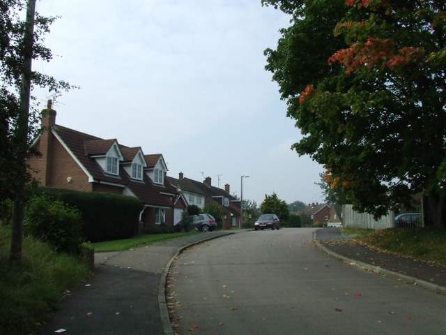 File:Coltsfield - geograph.org.uk - 976506.jpg