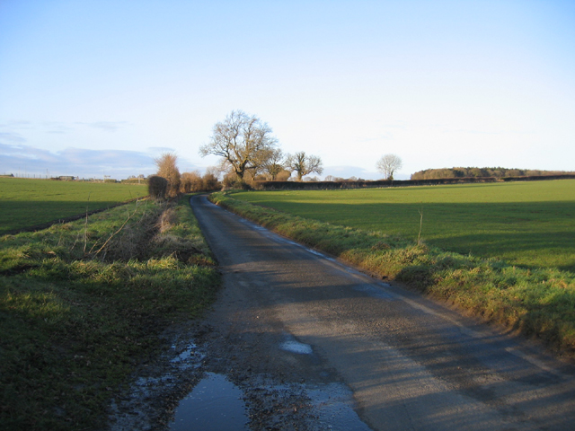 File:Country road, Weasenham St Peter, Norfolk - geograph.org.uk - 123717.jpg