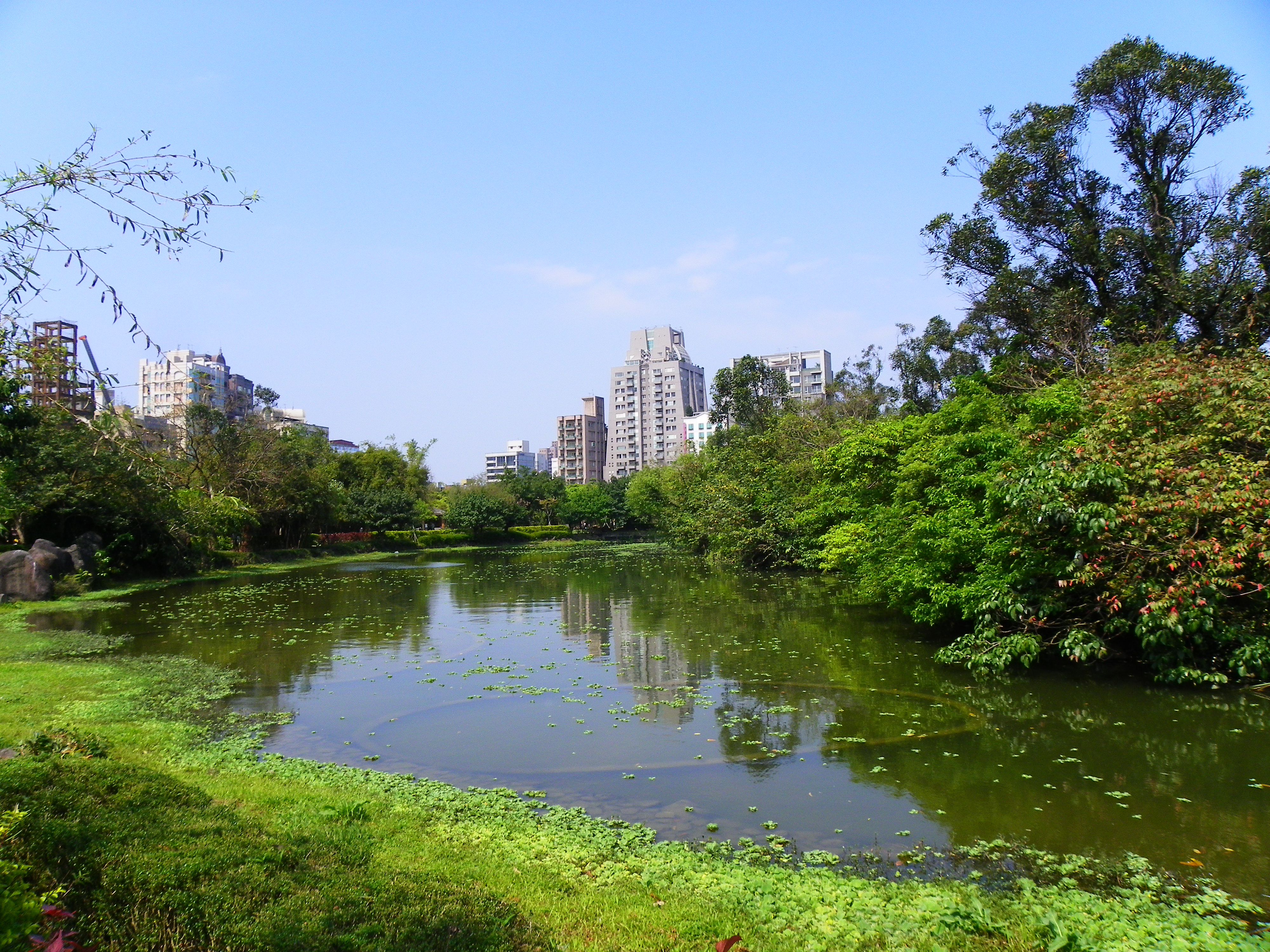 Файл:Daan Park Ecological Pool West Zone.jpg — Википедия