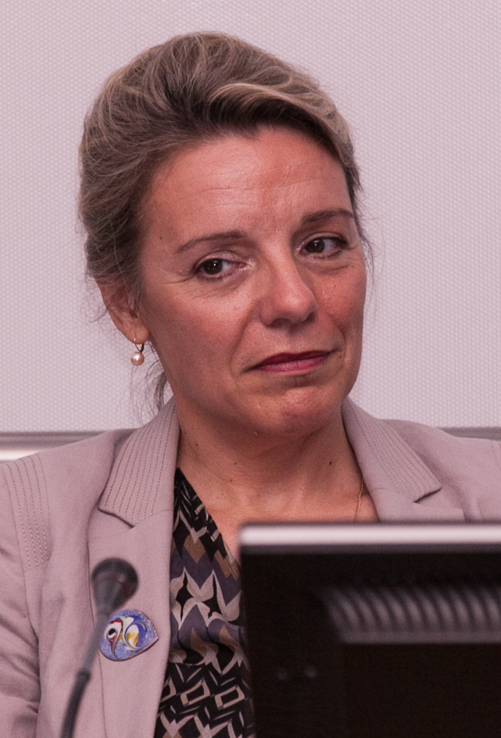 Frau-Meigs in 2014