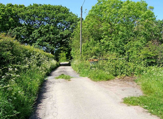 File:End of Tanners Hill near Wyre Forest - geograph.org.uk - 1317635.jpg