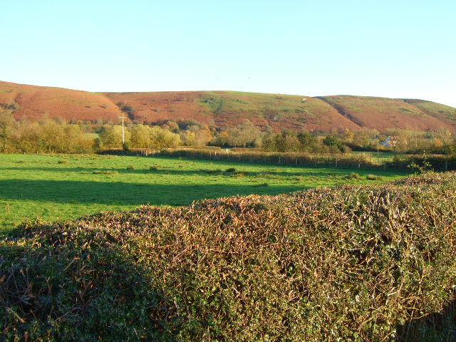 Prolley Moor