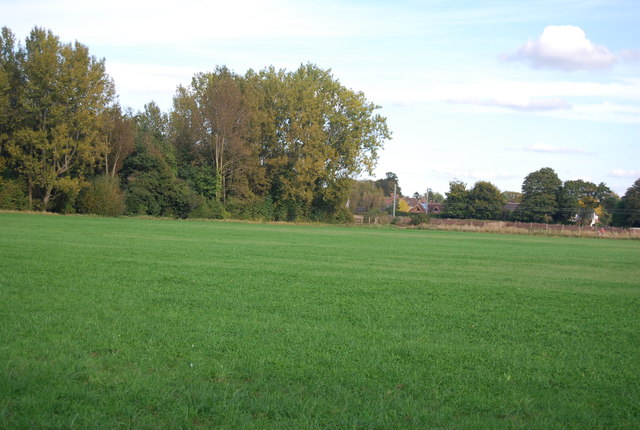 South field