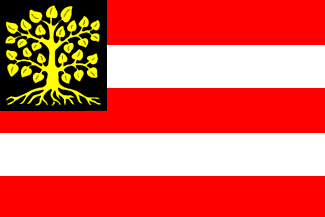 File:Flag of Hertogenbosch.png