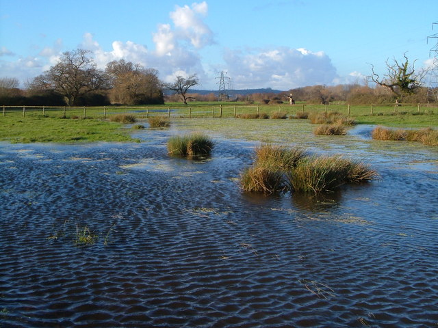 File:Flash, River Exe Country Park - geograph.org.uk - 292364.jpg