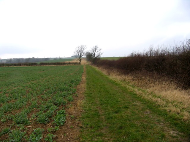 File:Footpath from Mere Road to Tur Langton - geograph.org.uk - 1008291.jpg