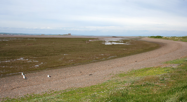 File:Foreshore at South End Haws - geograph.org.uk - 847048.jpg