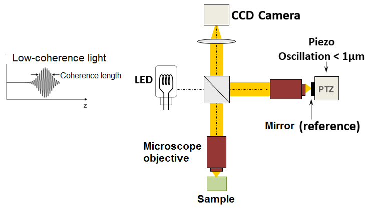 Contactless optical coherence tomography of the eyes of