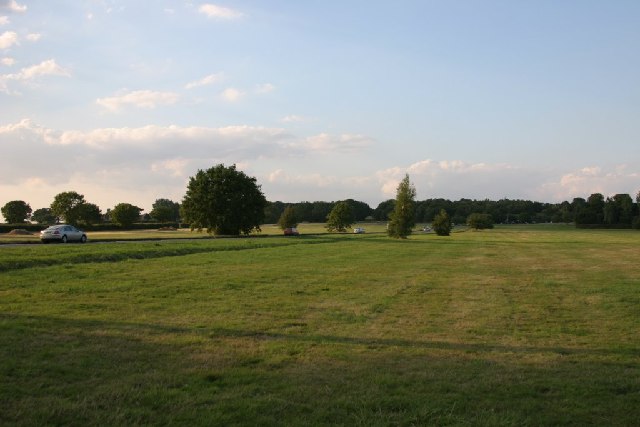 Galleywood Common - geograph.org.uk - 48183