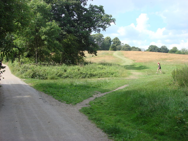 File:Grounds of Kenwood House - geograph.org.uk - 1512008.jpg