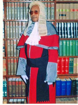 <span class="mw-page-title-main">Innocent Umezulike</span> Nigerian jurist
