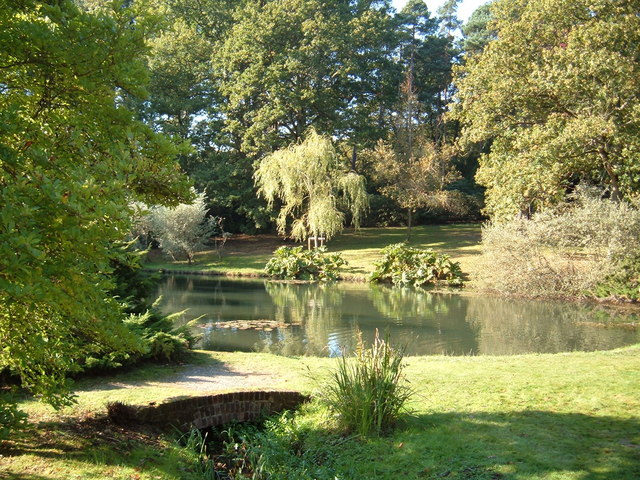 File:Jubilee Pond, Exbury - geograph.org.uk - 592872.jpg