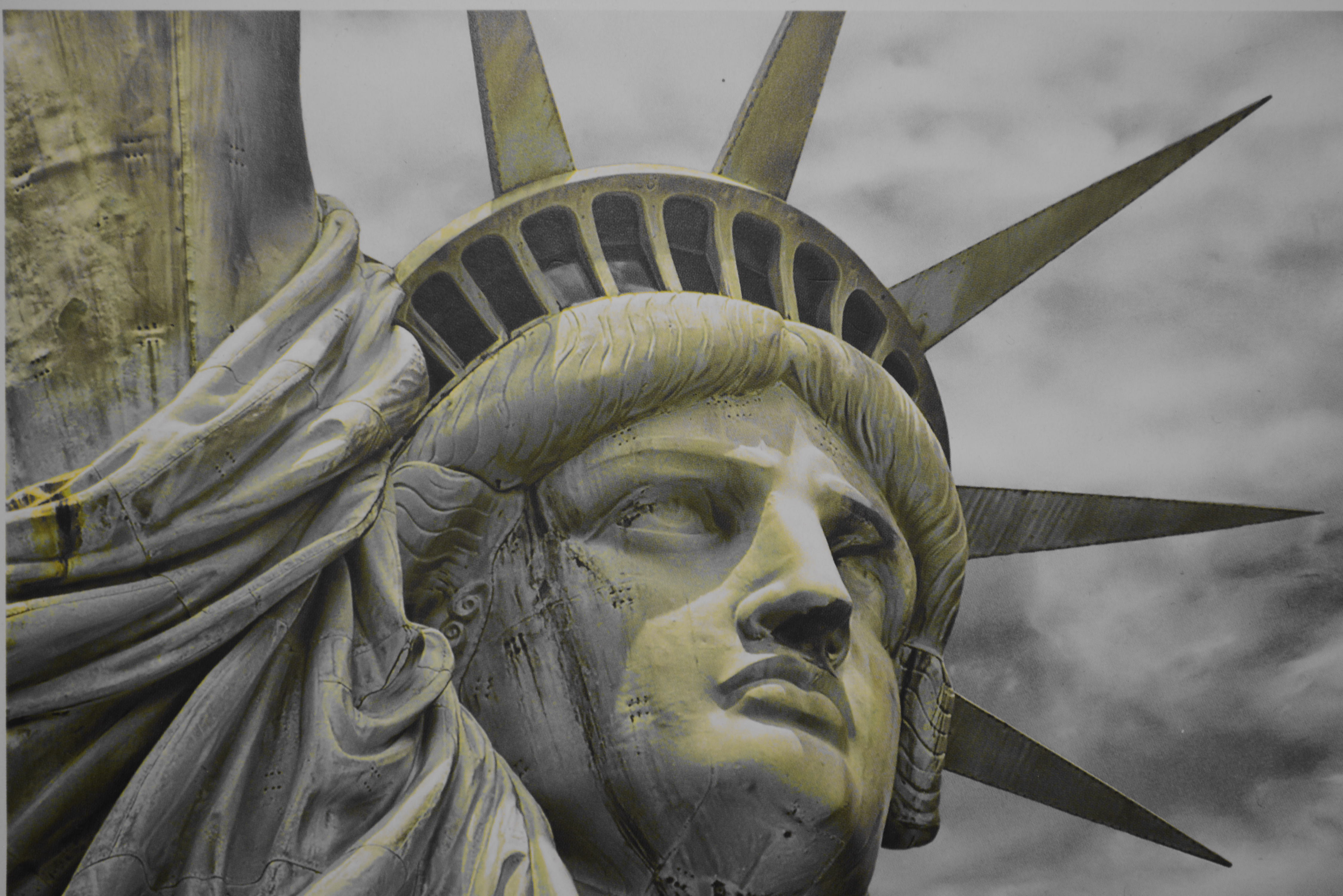 statue of liberty face