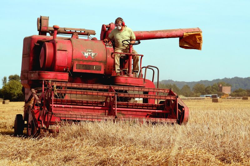 Massey_Ferguson_combine_in_Somerset.jpg