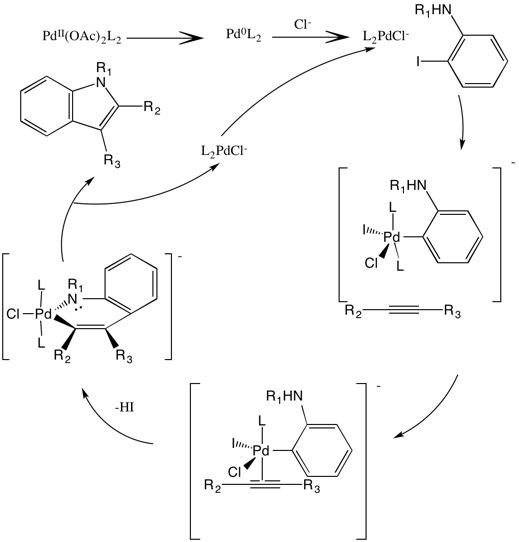 Larock indole synthesis mechanism. Mechanism of the Larock Indole Synthesis.jpg